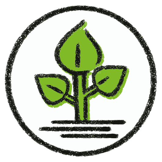 Jahresaktion 2021 – 07 Umwelt Pflanze freigestellt 1