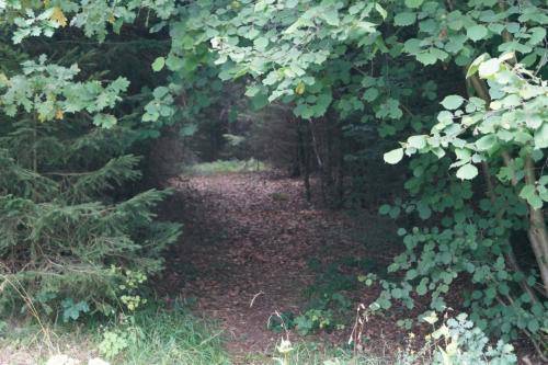 DSC06462