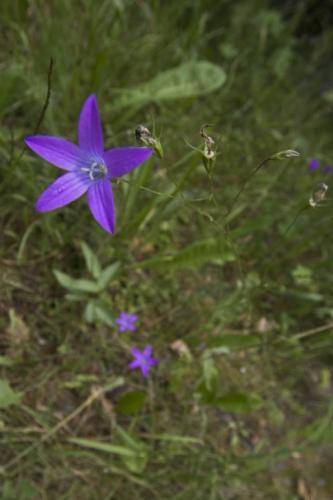 IMG 4979