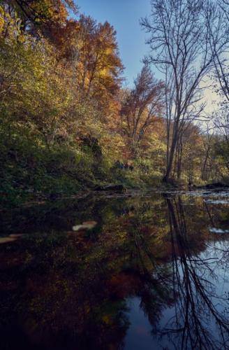 Herbsttag-2019 YTR005