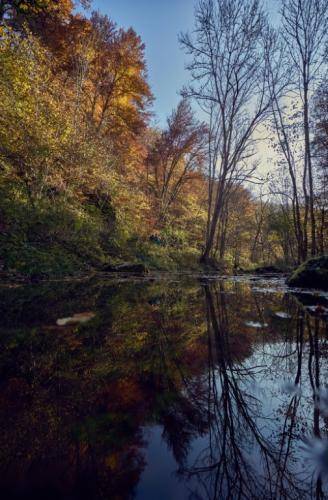 Herbsttag-2019 YTR006