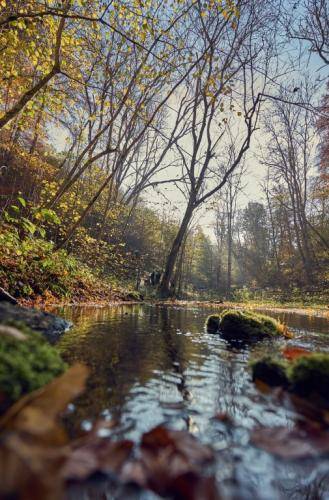 Herbsttag-2019 YTR007