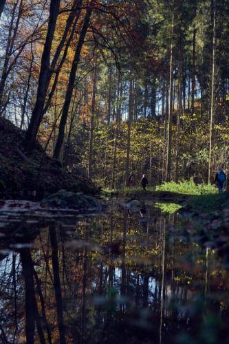 Herbsttag-2019 YTR009