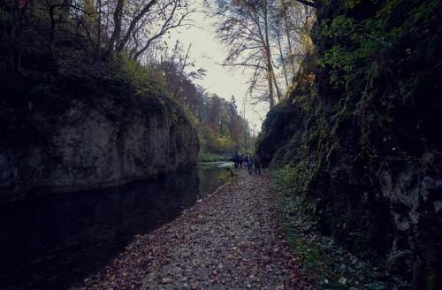 Herbsttag-2019 YTR010