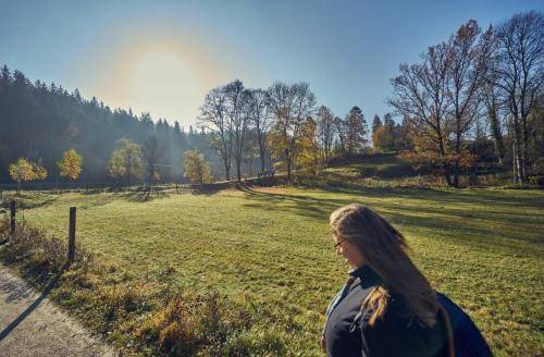 Herbsttag-2019 YTR013