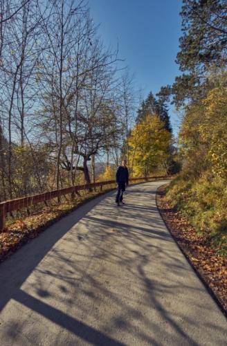 Herbsttag-2019 YTR014