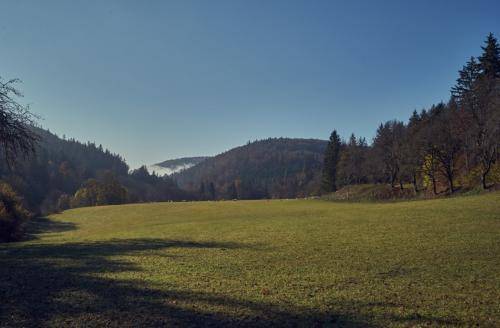 Herbsttag-2019 YTR015