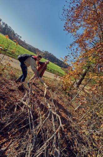 Herbsttag-2019 YTR021