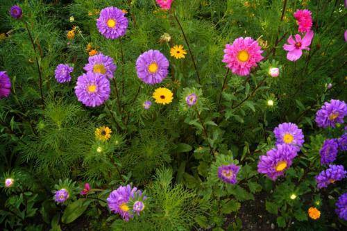 SoLa-Hike-Jupfis-2019 YTR038