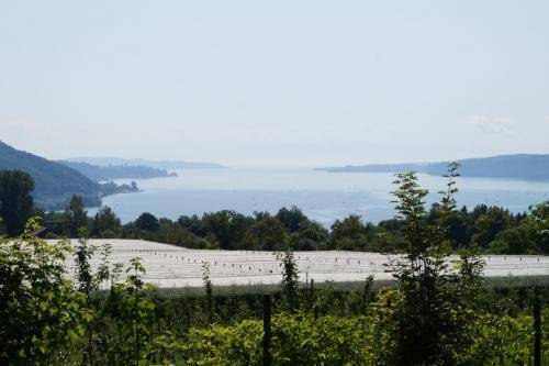 SoLa-Hike-Jupfis-2019 YTR081