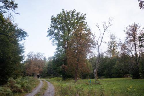 Image-2-3