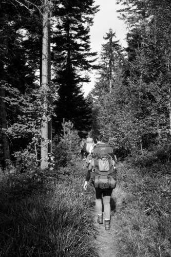 Image-3-21
