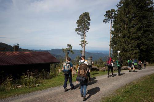 Image-3-22