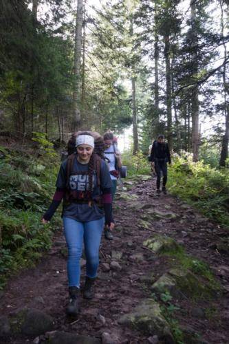 Image-3-31