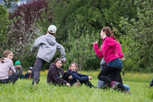IMG 7188