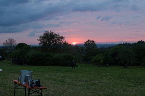 IMG 7417