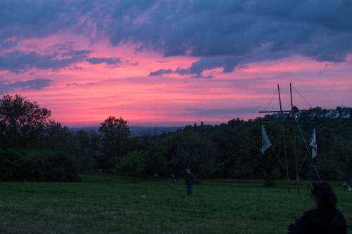 IMG 7441
