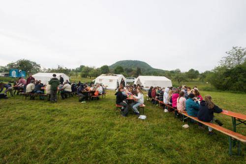 IMG 7478