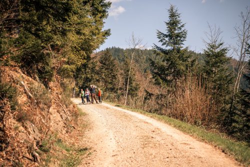 Foto: Anton Schneider
