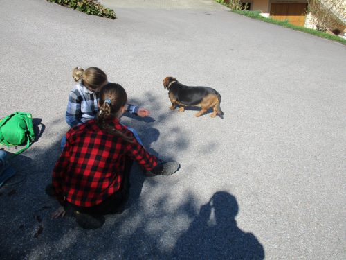 IMG 1269-Web